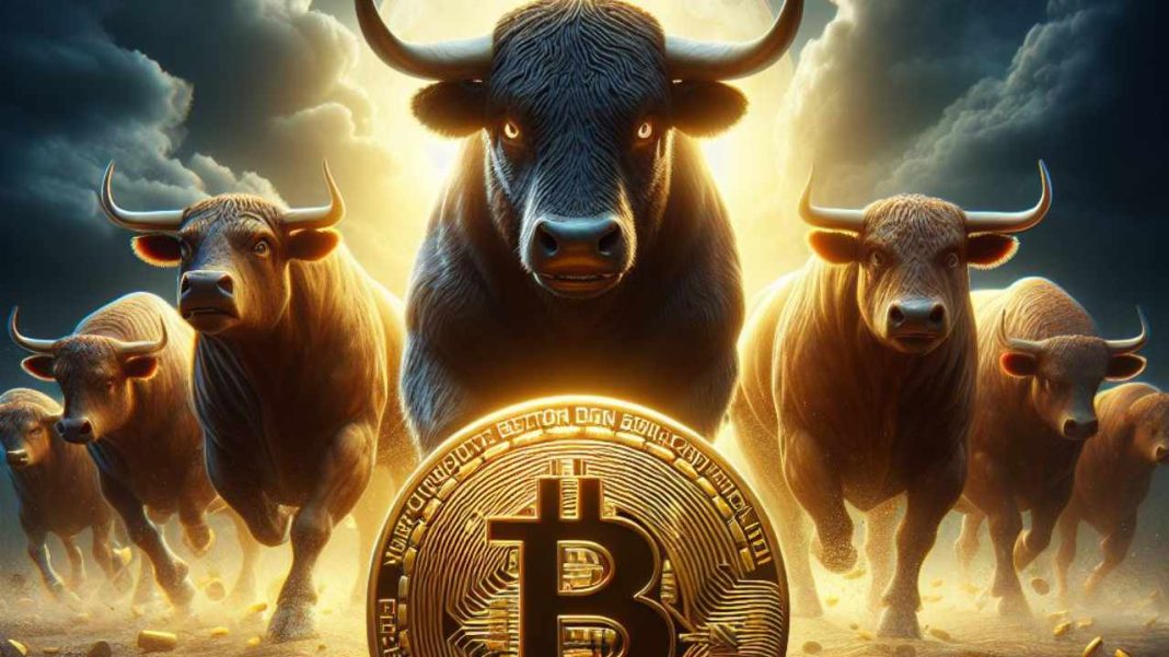 Bitwise Sees 'Raging' Bitcoin Bull Market — Expects April Halving to Be 'the Most Impactful We've Seen'' – Markets and Prices Bitcoin News
