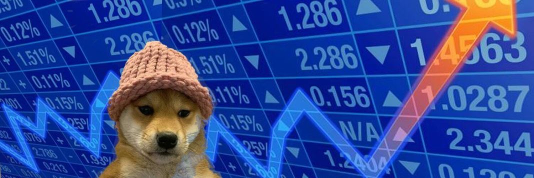 dogwifhat (WIF) jumps 44% to new ATH as meme coins rise - CoinJournal