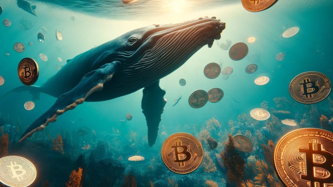 Elusive 2010 Bitcoin Mega Whale Moves 2,000 BTC Worth $138M in Fourth Transfer of 2024 – Bitcoin News