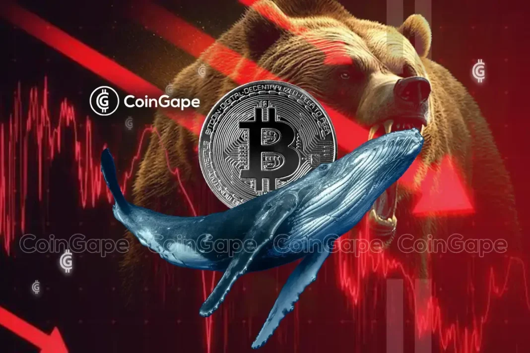 Bitcoin Prices Eyes Upswing As BTC Whales Accumulate