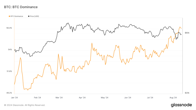 Bitcoin's market dominance shows stable upward trend in 2024 despite market volatility