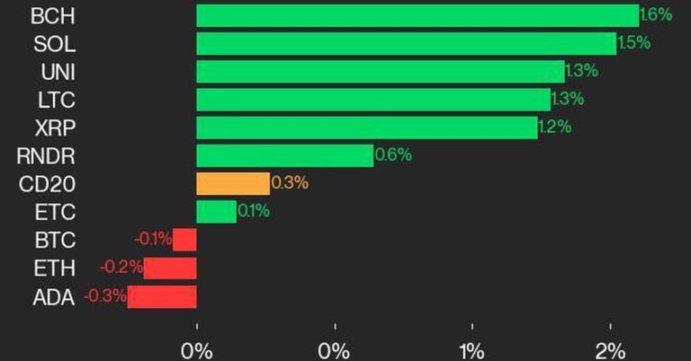 CoinDesk 20 Performance Update: BCH and SOL Gains Lead as Index Inches Up 0.3%