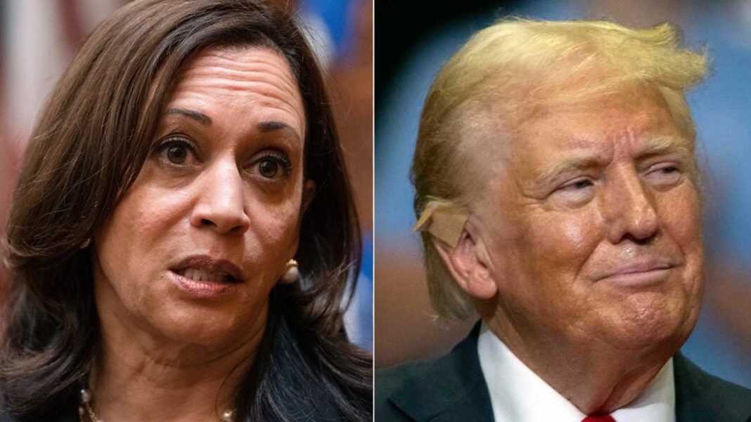 Coinshares Weighs Trump and Harris’ Impact on Bitcoin Ahead of 2024 Election – Bitcoin News