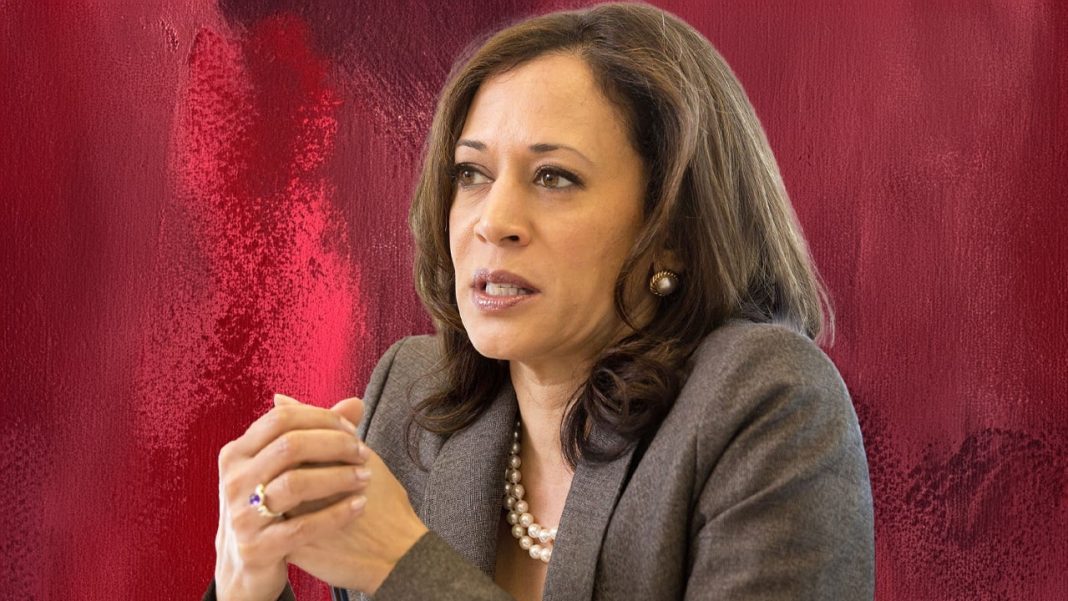 Food Price Controls in America? Kamala Harris's Controversial 2024 Strategy Unveiled – Economics Bitcoin News