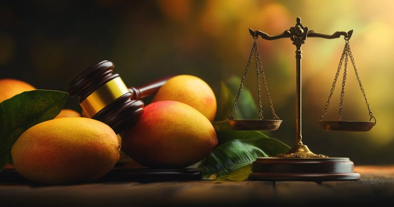 MangoDAO's proposed SEC settlement faces scrutiny over potential impact on investors