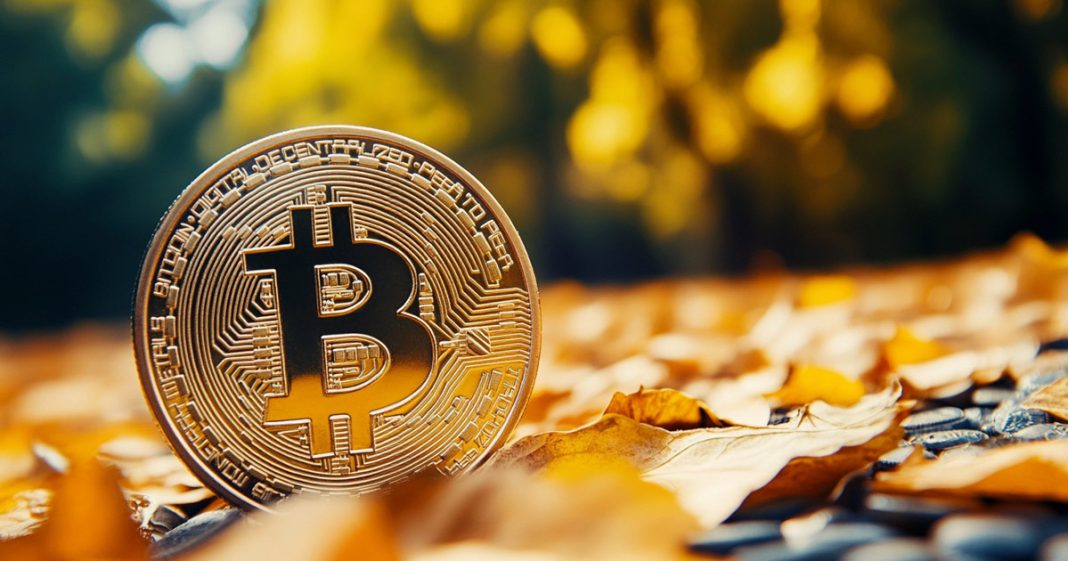 Bitcoin faces September slump but optimism grows for year-end rally – Bitwise CIO