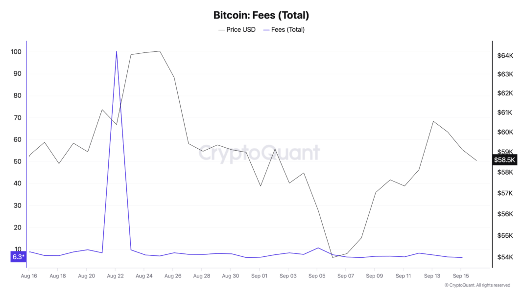 CryptoQuant