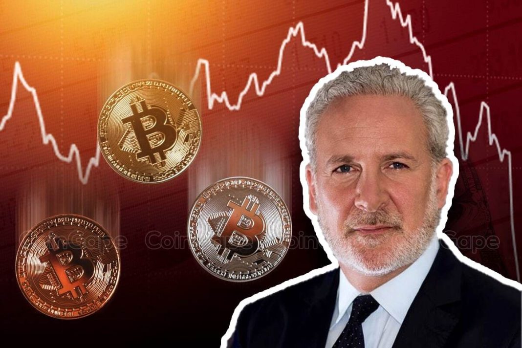 Peter Schiff Counters Michael Saylor, Debunks Bitcoin Promises