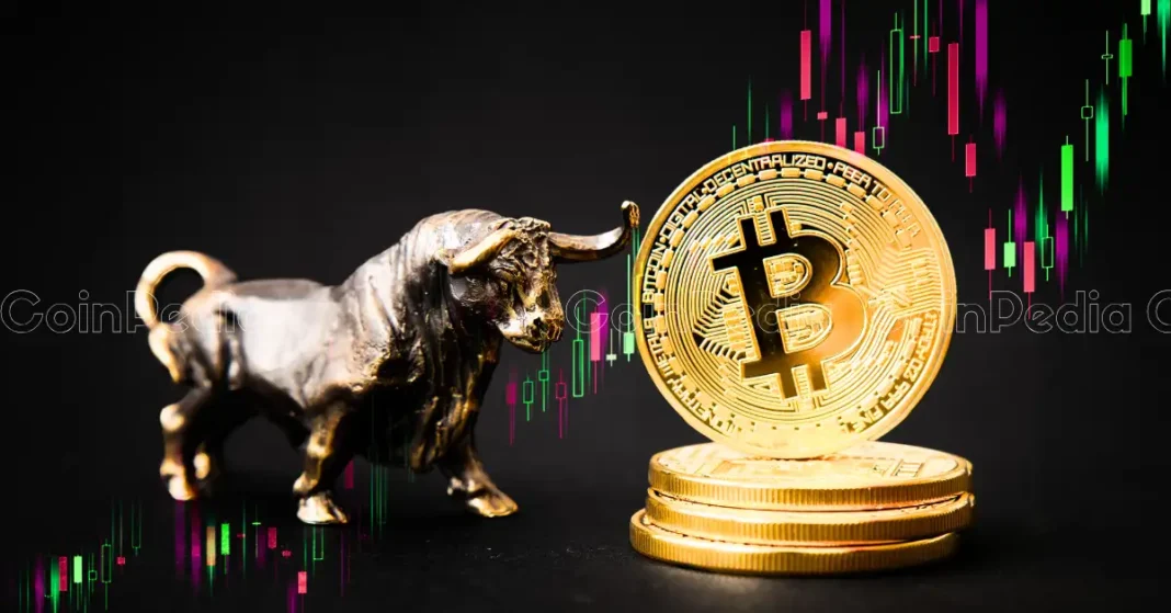 Bitcoin Bull Run On Horizon Massive Rally Between October 20th-30th!