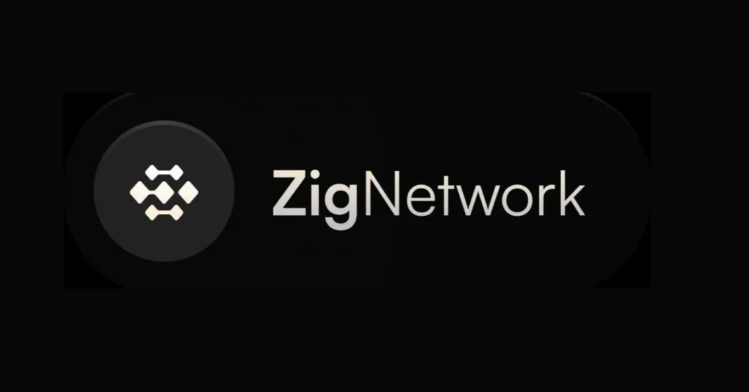 zig-network