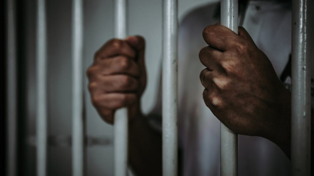 Nigerian Crypto Industry Players Applaud Proposal to Jail Ponzi Operators – Africa Bitcoin News