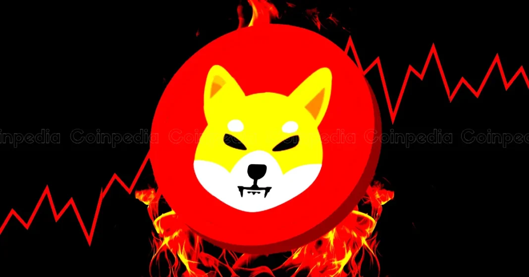 Shiba Inu Burn Rate Soars 6,200% Today, Over 290k Tokens Destroyed!