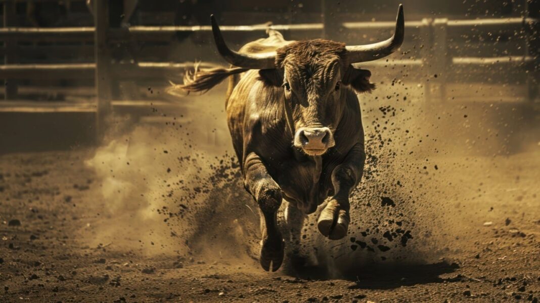 Crypto's in Multi-Year Bull Market, and the Fed Can't Stop It, Expert Says – Markets and Prices Bitcoin News