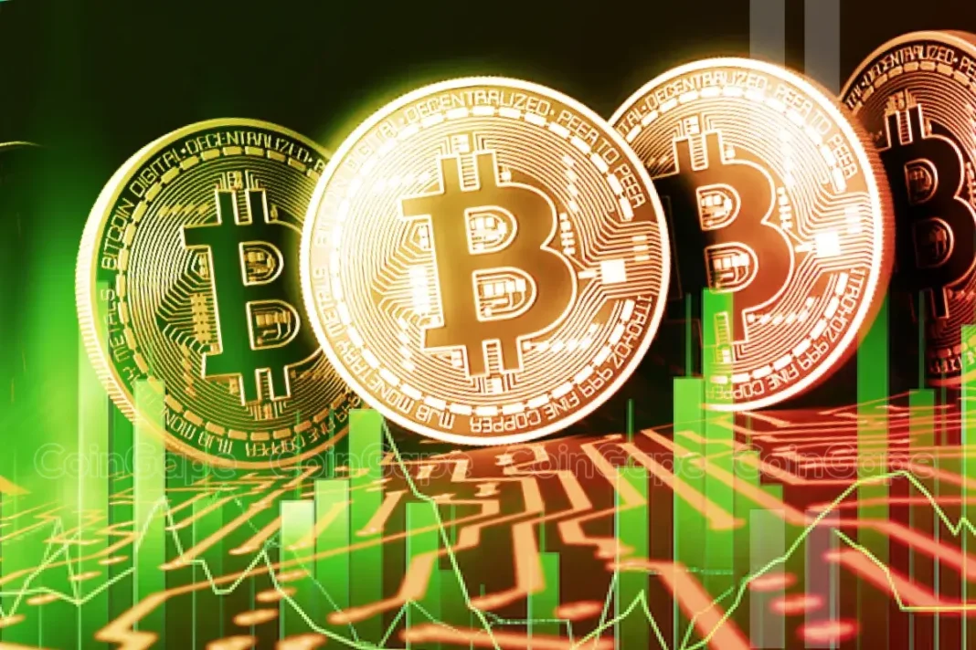 Economist Explains What Could Fuel 2025 Bitcoin Price Rally