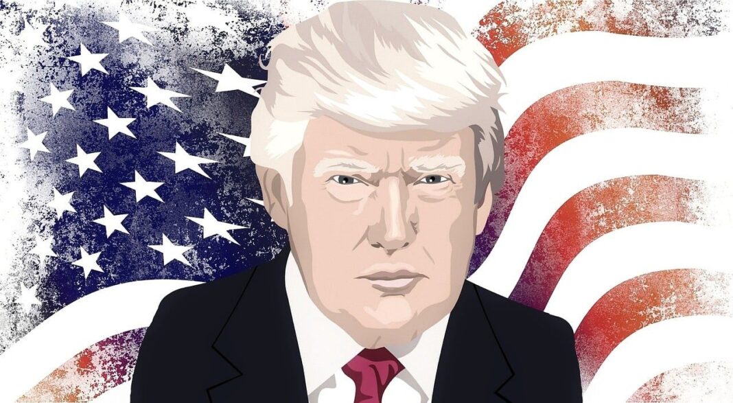 President-elect Trump may announce crypto as national policy priority. (BarBus/Pixabay)