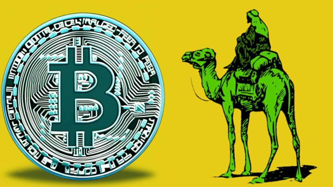 Silk Road Founder’s Bitcoin Wallets Worth $47M Remain Untouched