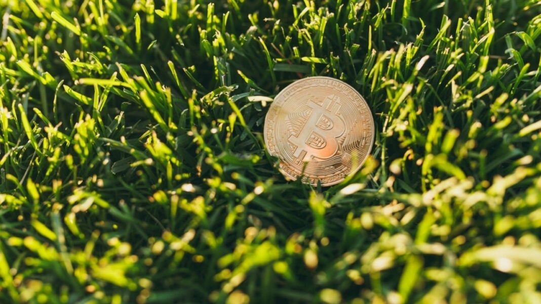 Exhausted? Hodl BTC and Touch Grass – Op-Ed Bitcoin News