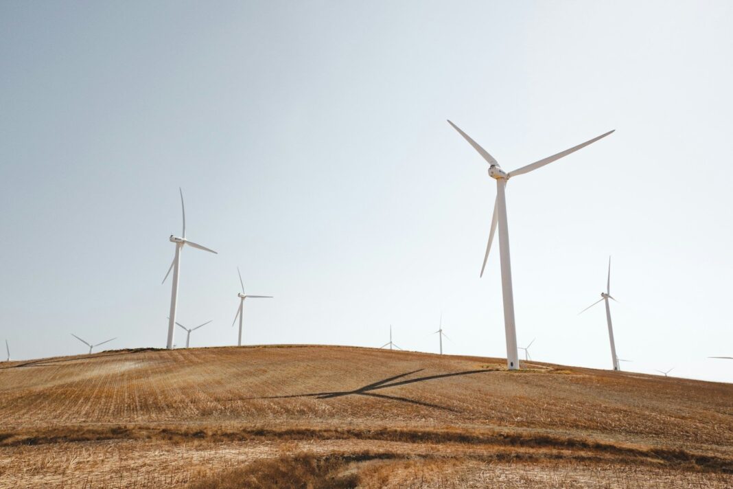 Wind farm in Cádiz, Spain (Luca Bravo/Unsplash)