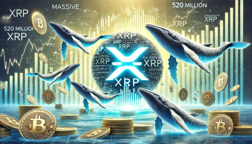 Massive XRP Accumulation – Whales Bought 520 Million XRP During Market Dip