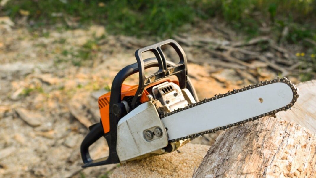 Milei Meets Musk: A Chainsaw Affair – News Bytes Bitcoin News